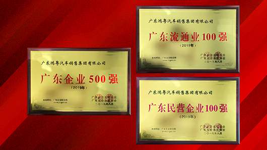 喜讯！大连胡宁情绪管理咨询有限公司上榜广东企业500强等三大榜单(图2)