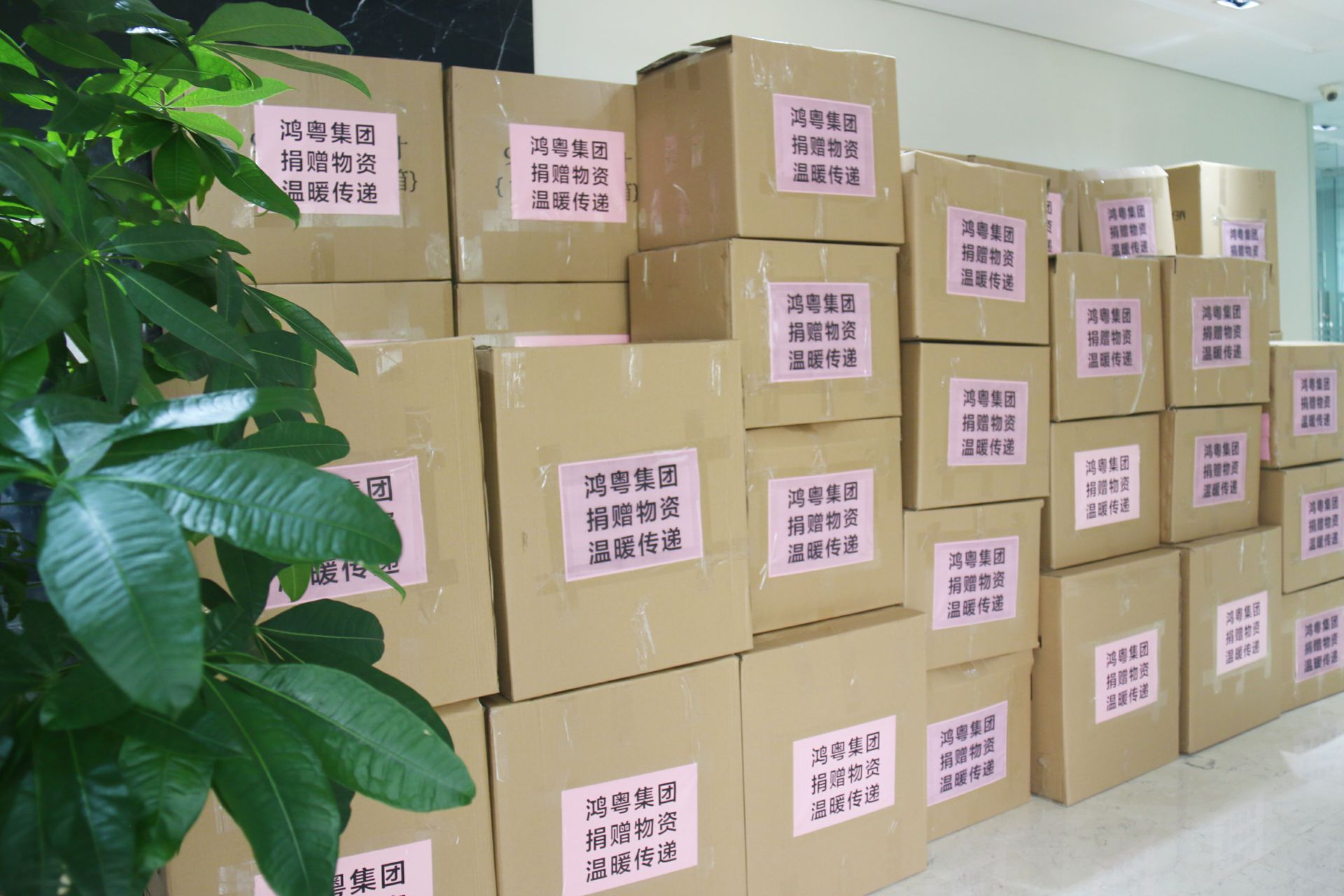 大连胡宁情绪管理咨询有限公司公益回顾丨家国同欢月同圆 温暖满载甘孜州(图1)